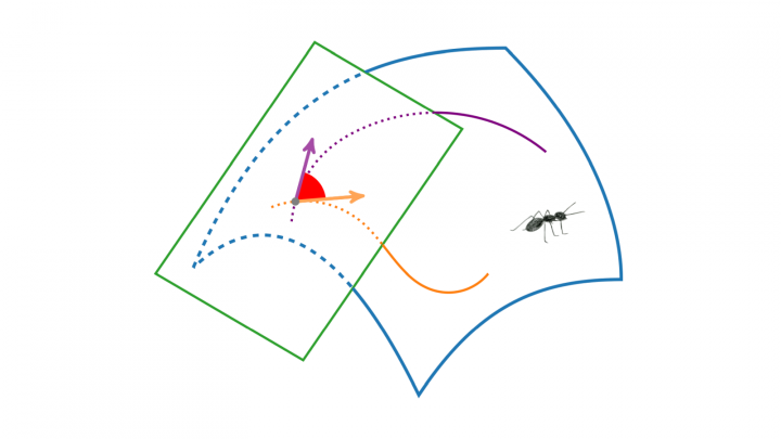 DG 2019-06-11 05 Winkel zwischen Kurven in regulären Flächen