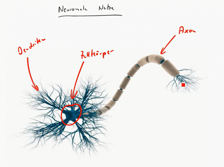 MINF 2016-05-24 01 Künstliche Neuronen