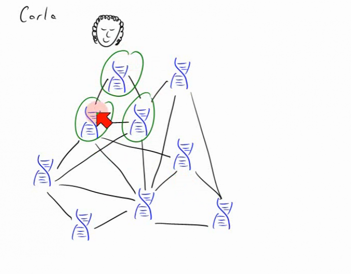 TI 2014-03-18 03 Carlas Problem
